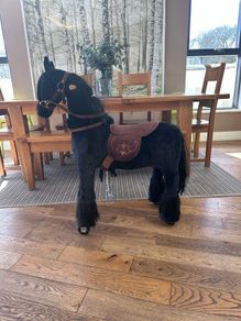 Ride on Pony