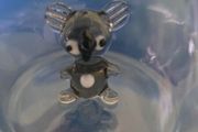 Koala Glass cup