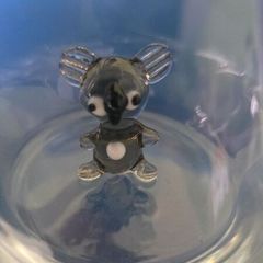Koala Glass cup