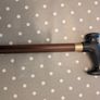 Walking stick Image 9