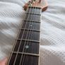 Schecter PT Special Image 8