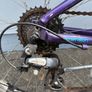 Bicycle Ridgeback 24 Image 5