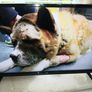 new jvc 32 inch smart hdmi tv. Image 3