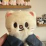 Stray kids Plush Image 3