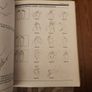 Hand And Foot Reflexology.  The Unique Self- Health Approach To Wellness. By Kevin And Barbara Kuntz. Large Volume Paperback In Good Condition. Image 9