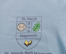 Maynooth boy's school t-shirts. Age 10