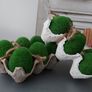 Beautiful Home Decor (eggs)- New! Image 3