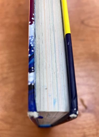 Dogman, 20,000 Fleas Under The Sea (Damaged)by Dav Pilkey