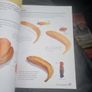 Acrylics: Step-By-Step Acrylics for the Absolute Beginner (Collins You Can Paint) Image 10
