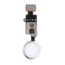 iPhone 7 7 Plus 8 8 Plus SE2 Home Button Replacement Return Functions Silver Image 2
