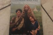 school novel
