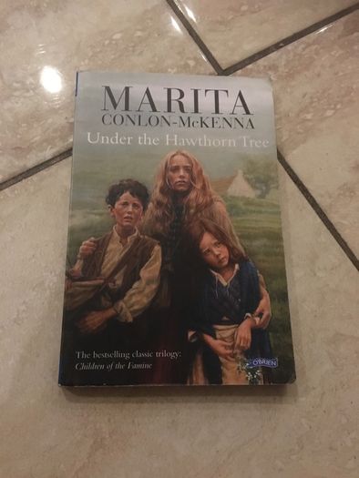 school novel