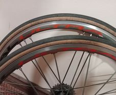 Campagnolo Shamal Ultra bike wheelset