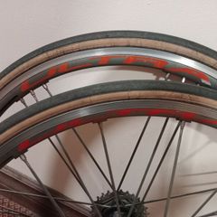 Campagnolo Shamal Ultra bike wheelset