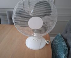 Electric Fan