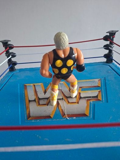WWF WWE Hasbro Dusty Rhodes 1991