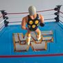 WWF WWE Wrestling Hasbro Dusty Rhodes Image 2