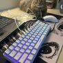 Keyboard & Mouse Duo Image 4