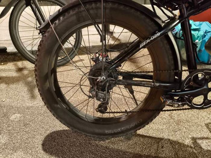 Electric Bike