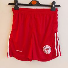 shelbourne fc football shorts