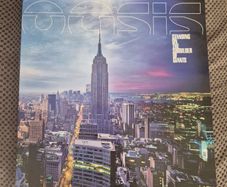 oasis standing on the shoulder of giants vinyl lp