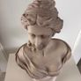 Bust Image 6