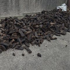 Black Coal