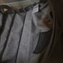 Bugaboo Fox pram in excellent condition Image 8