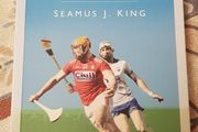 The Little Book Of Hurling by Seamus J. King