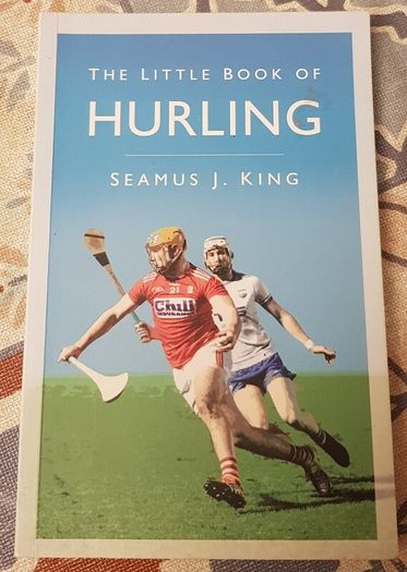 The Little Book Of Hurling by Seamus J. King