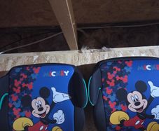 booster seat x 2, brand new, never used