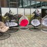 rattan garden swing egg chairs Image 4