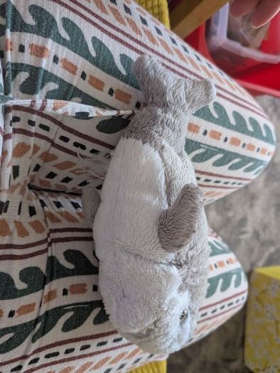 shark teddy