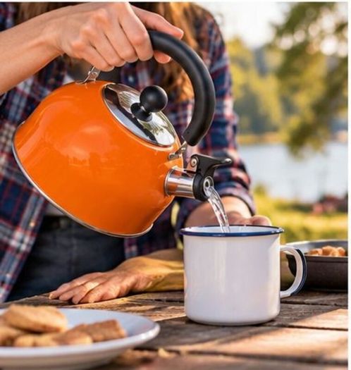 2L Stainless Steel Kettle - Orange
