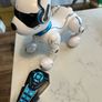 Robot Dog Image 2