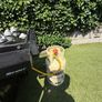 weber Image 9