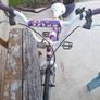 bike Image 4