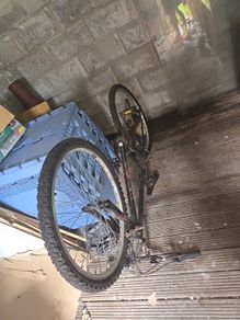 Adult/teen bike