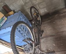 Adult/teen bike