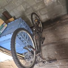 Adult/teen bike