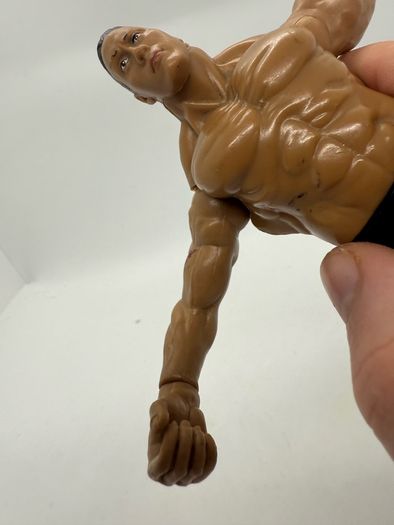 wwe Jakks The Rock action figure