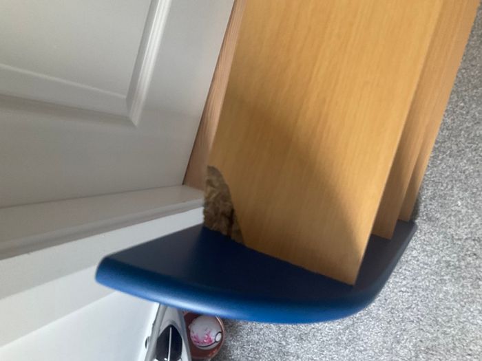 Shelf
