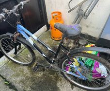 free ladies bikes
