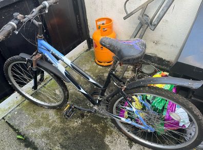 free ladies bikes