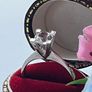 Sterling Silver Cathedral-Style Mounting Solitaire Cublic Zirconia Ring. Size N/O. Image 4