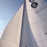 Sail sailing row fishing lake boat Image 9