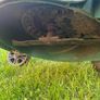 40cm Self-drive lawnmower Image 6
