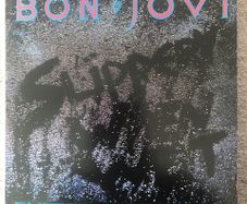 Bon Jovi Slippery When Wet Vinyl Irish Pressing Rock
