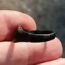13th Century AD Medieval Bronze Ring Image 6
