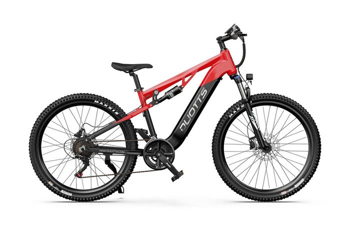 DUOTTS E29 Electric Bike
